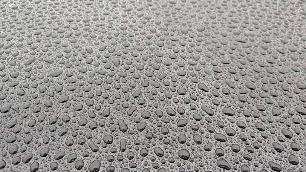 Water droplets on waxed car paint